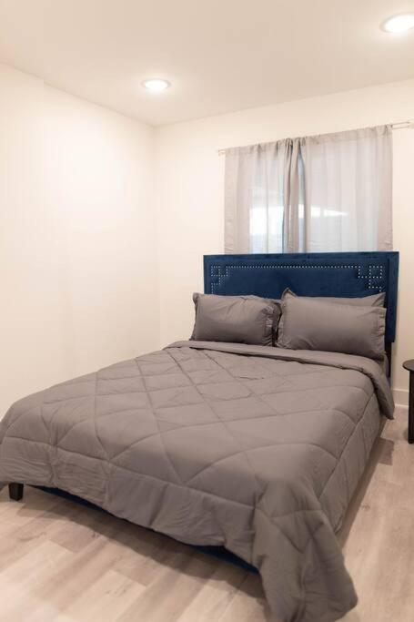 Platinum Palace 1Br 1Ba - Central Dallas Stay Zewnętrze zdjęcie