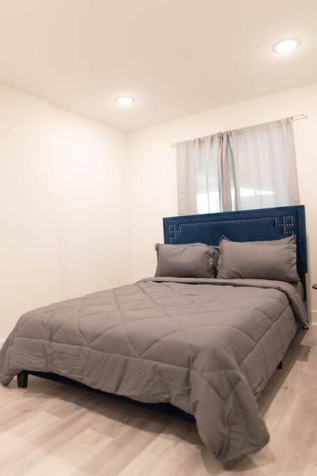 Platinum Palace 1Br 1Ba - Central Dallas Stay Zewnętrze zdjęcie